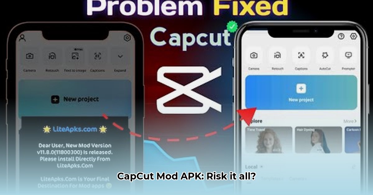 capcut-mod-apk-liteapks